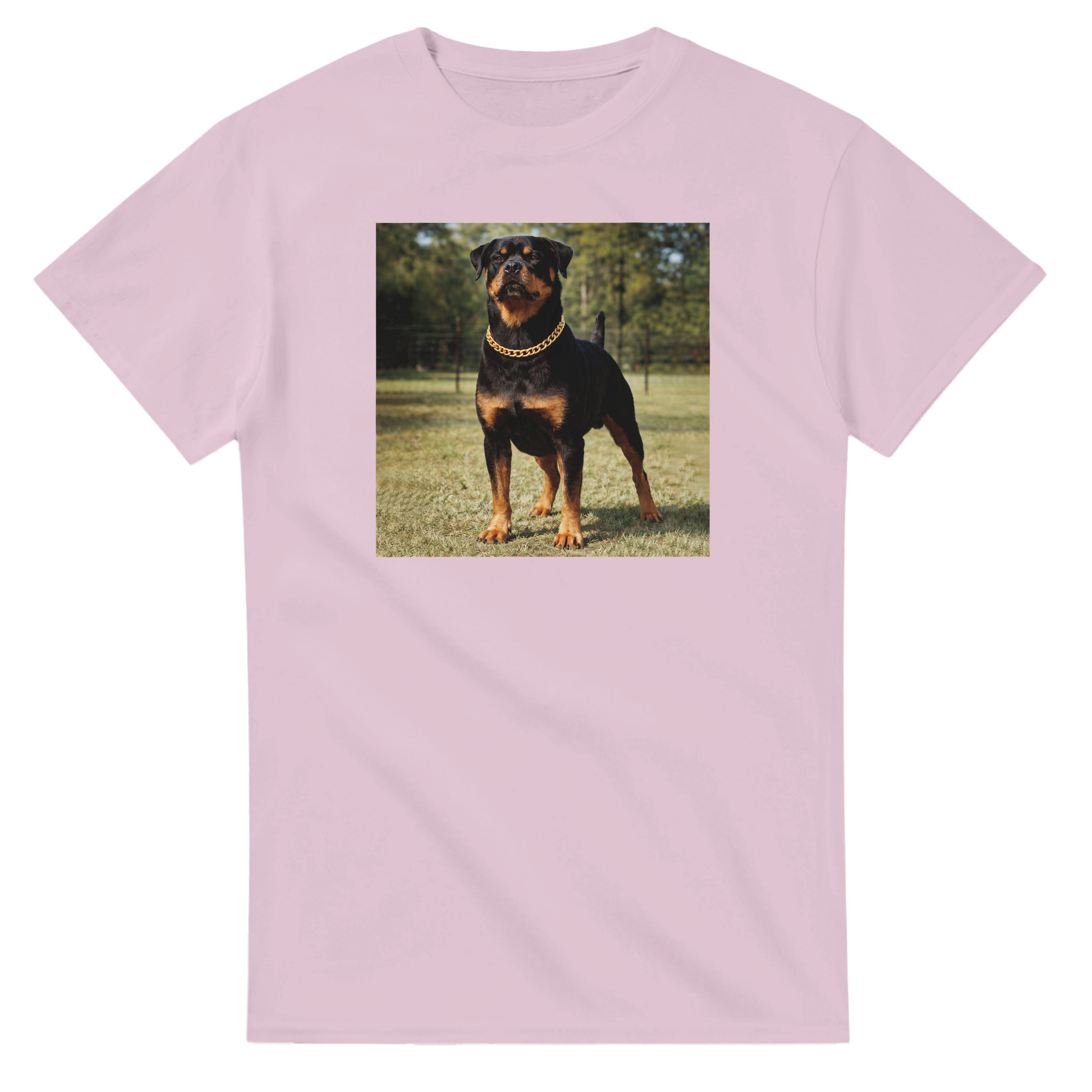 c08d0eac-01aa-4527-88fd-2c0afed57e25