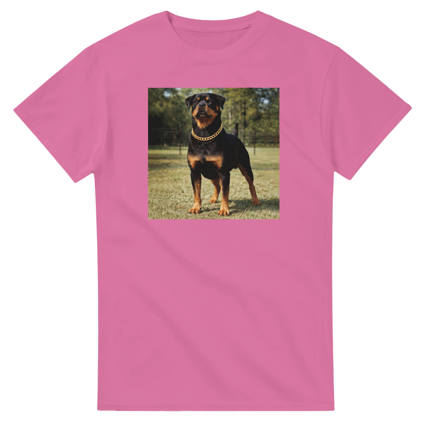 c574cdd1-aa49-4768-9159-612469c3ab4a