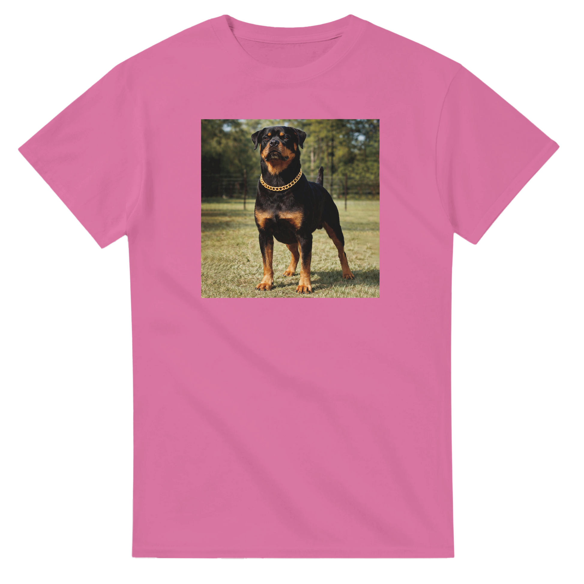 c574cdd1-aa49-4768-9159-612469c3ab4a