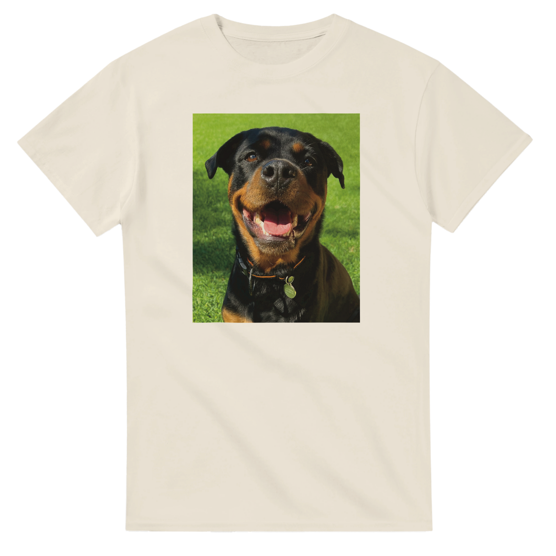 cfd414dd-6a64-4686-b6d6-d8cbd4d51cf7