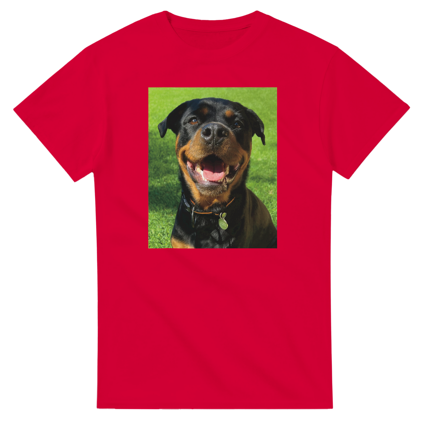 d18ee9aa-5a43-45f4-99e3-0597d2dcf9c4