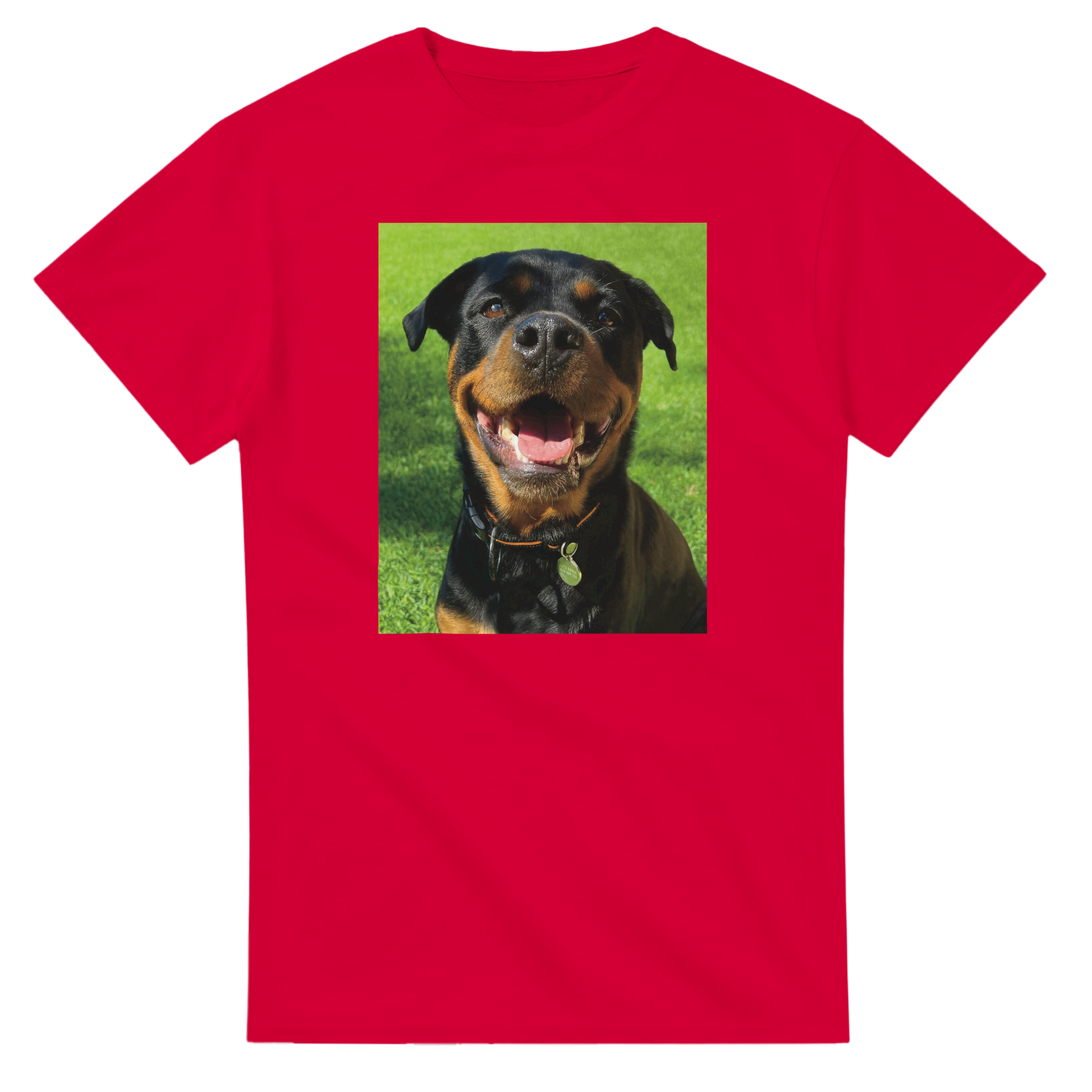 d18ee9aa-5a43-45f4-99e3-0597d2dcf9c4