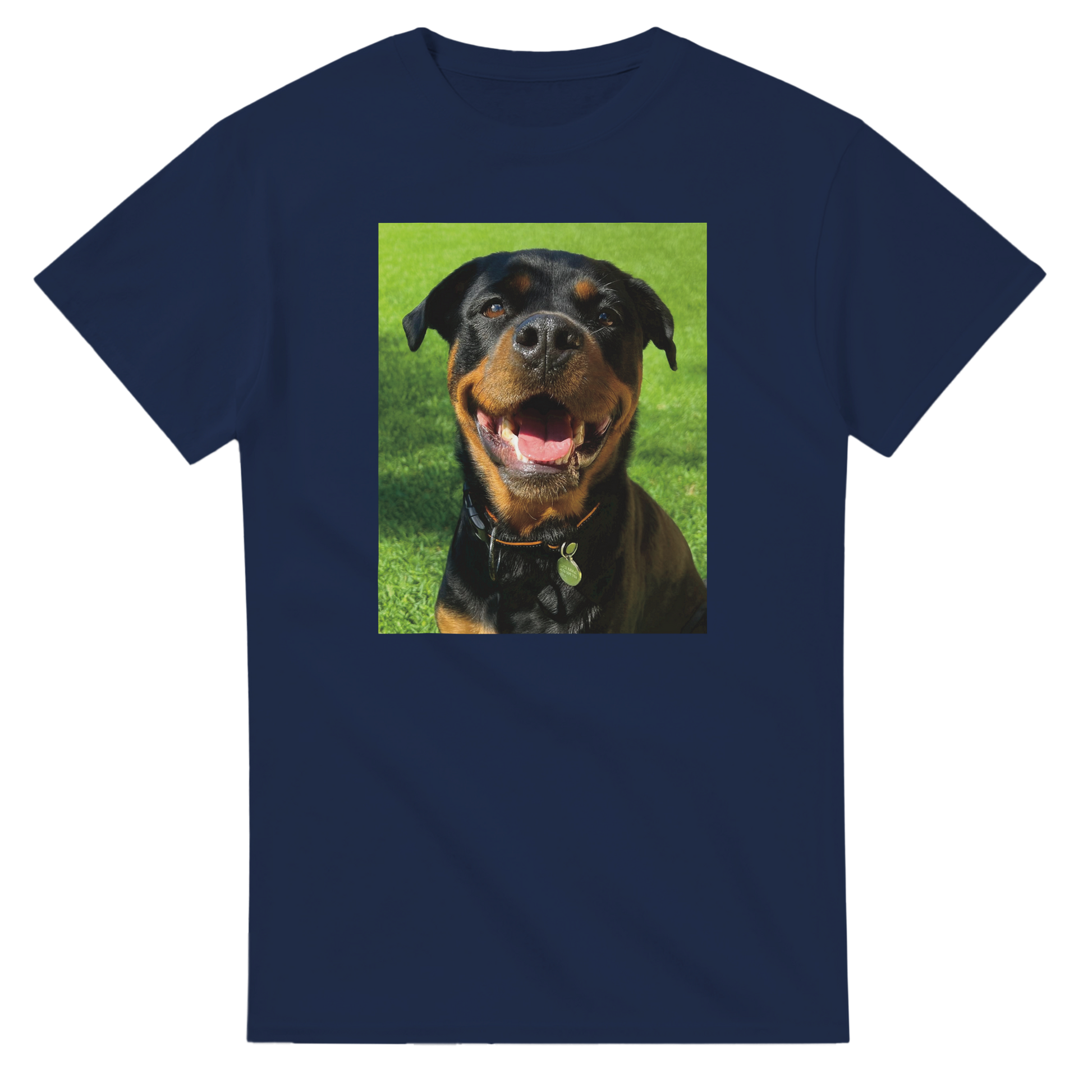 d325bf07-5b7f-44ef-8e66-d383781f14fa