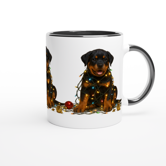 d4903708-49e2-4417-8193-3a1bd9dbc456