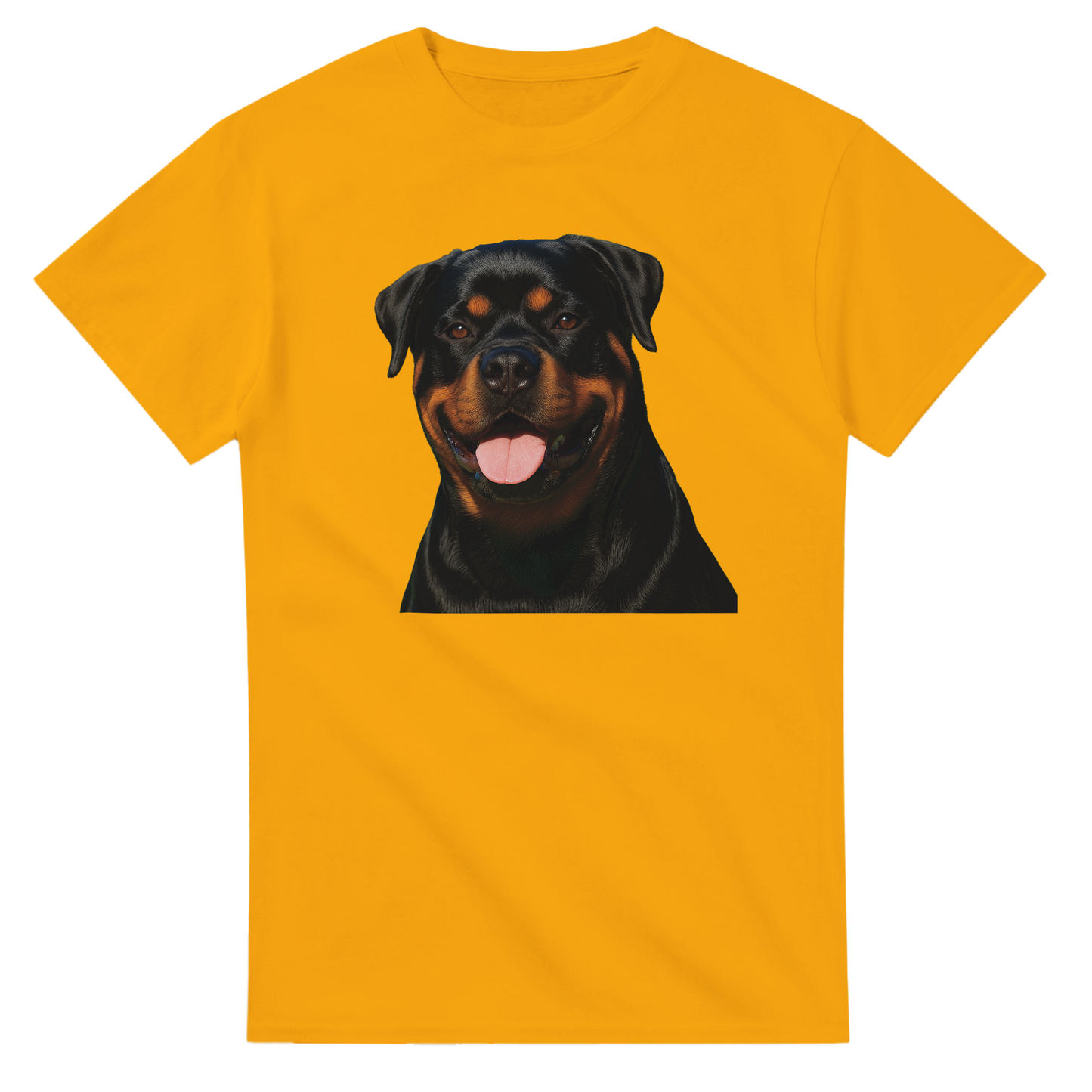 d64dd9f5-ffa8-4242-bc42-468d0c010638