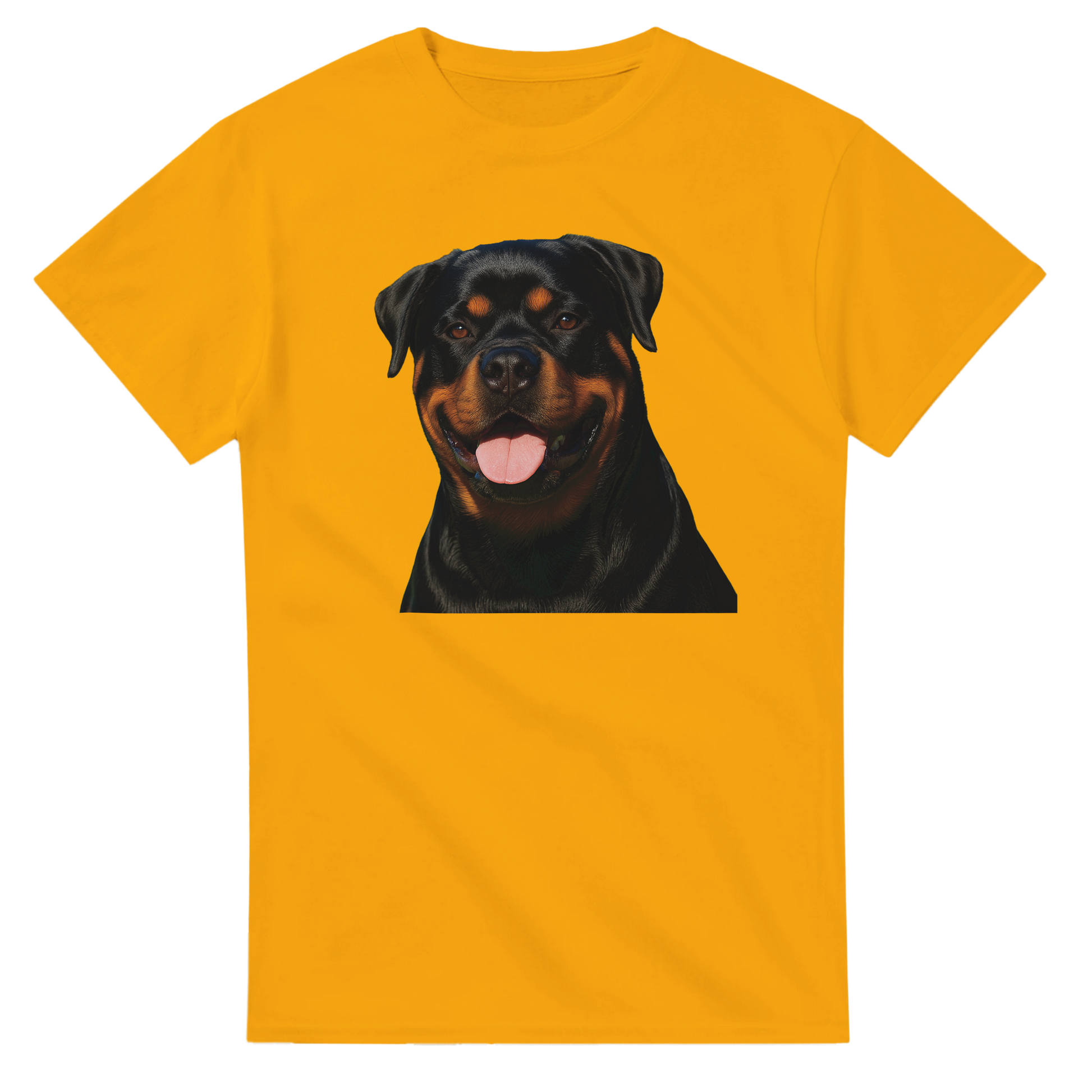 d64dd9f5-ffa8-4242-bc42-468d0c010638