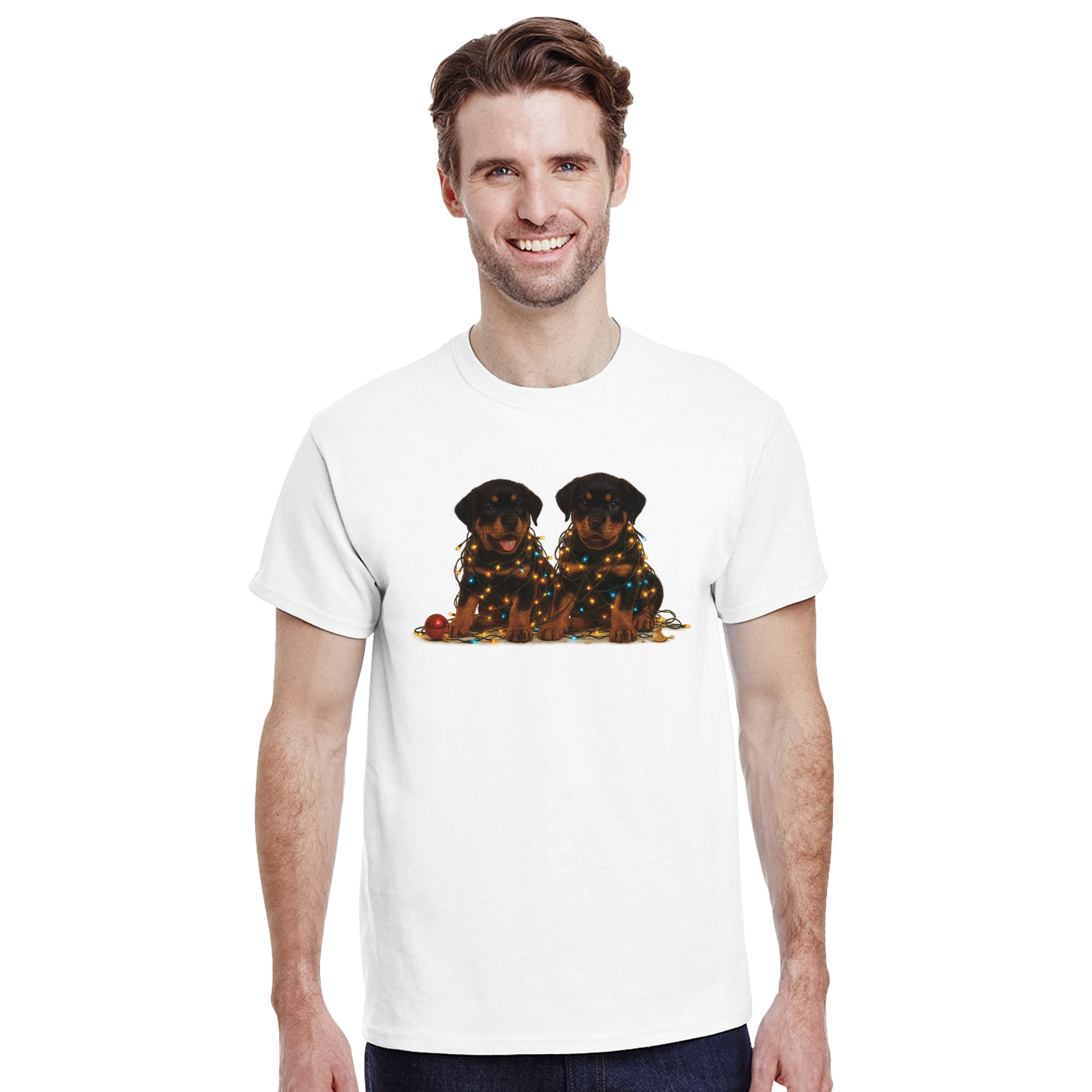 e388e31f-1a47-40b0-b116-1c74e10e3659