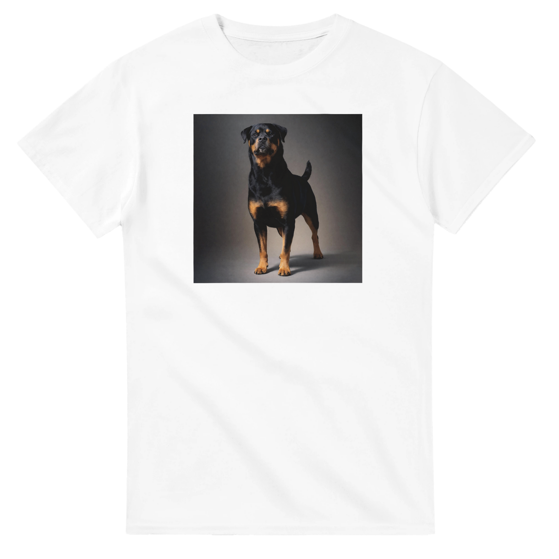 e4d4ec10-30df-47e5-bd9e-fda8d10d094e