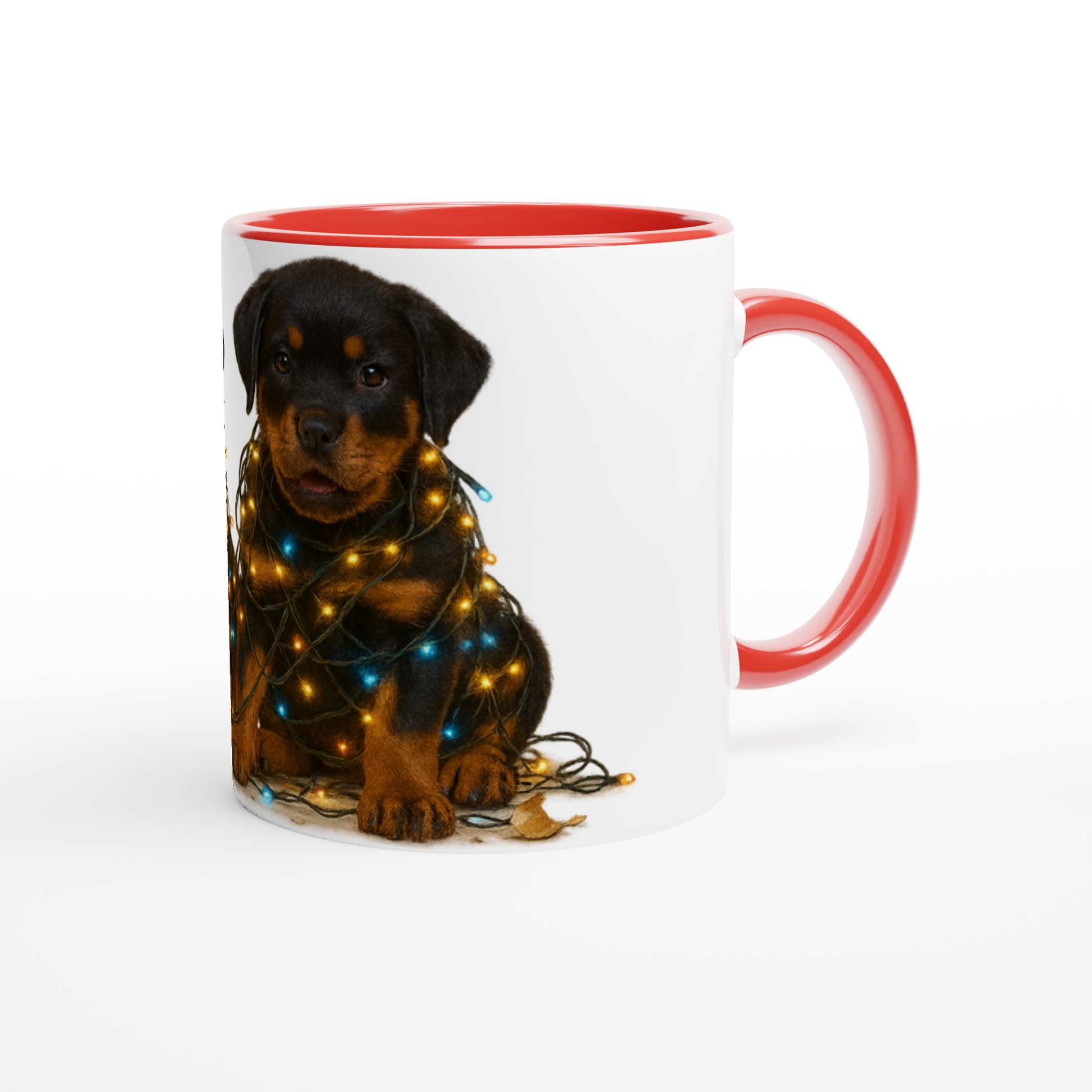 e80f02c2-ced9-45ee-a794-9fb7a270ccb1