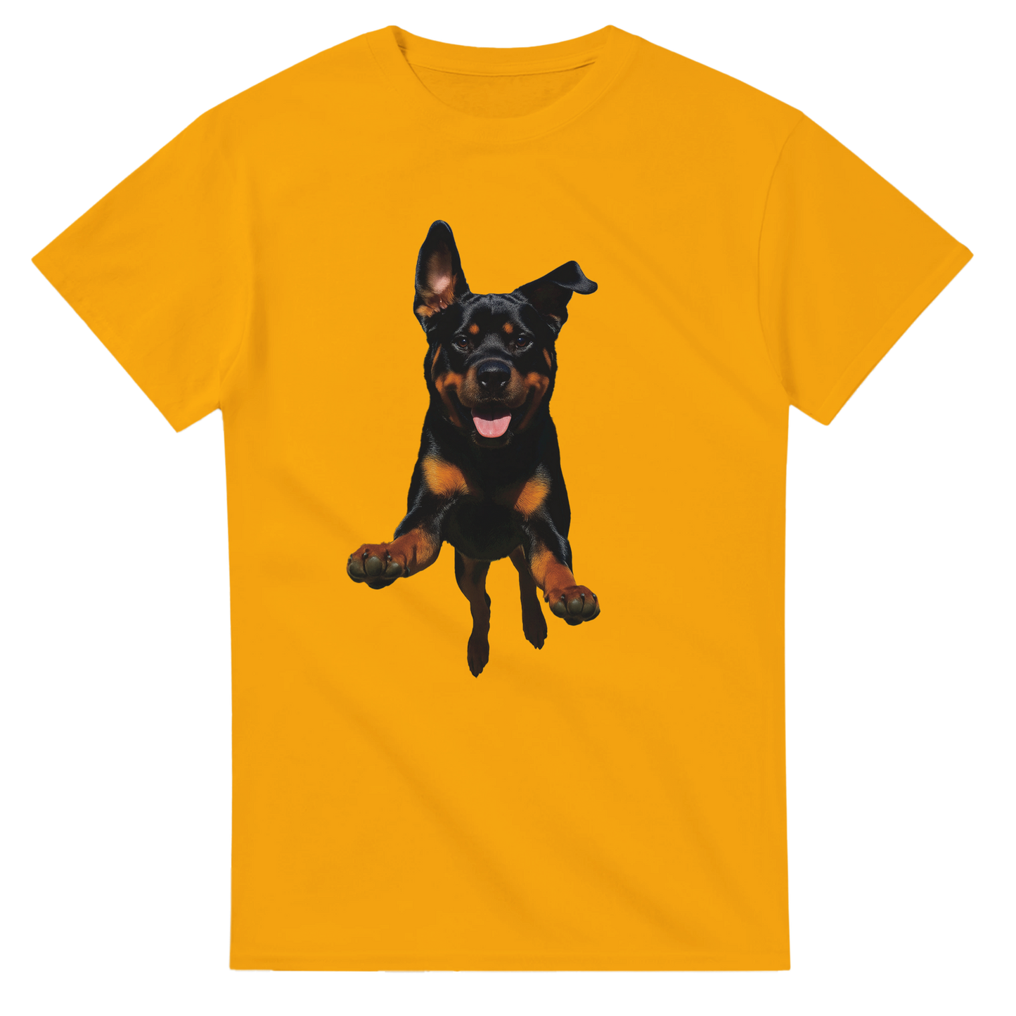 e9fe138b-68a9-42ff-af0b-1229b974476e