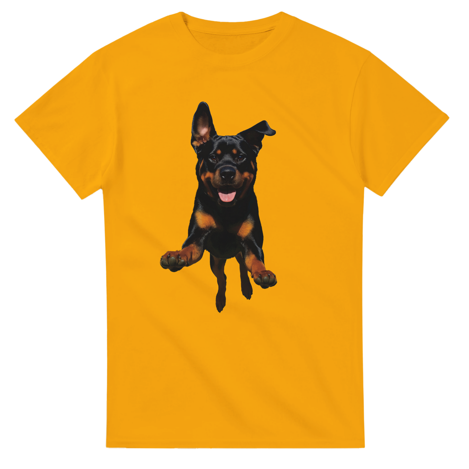 e9fe138b-68a9-42ff-af0b-1229b974476e