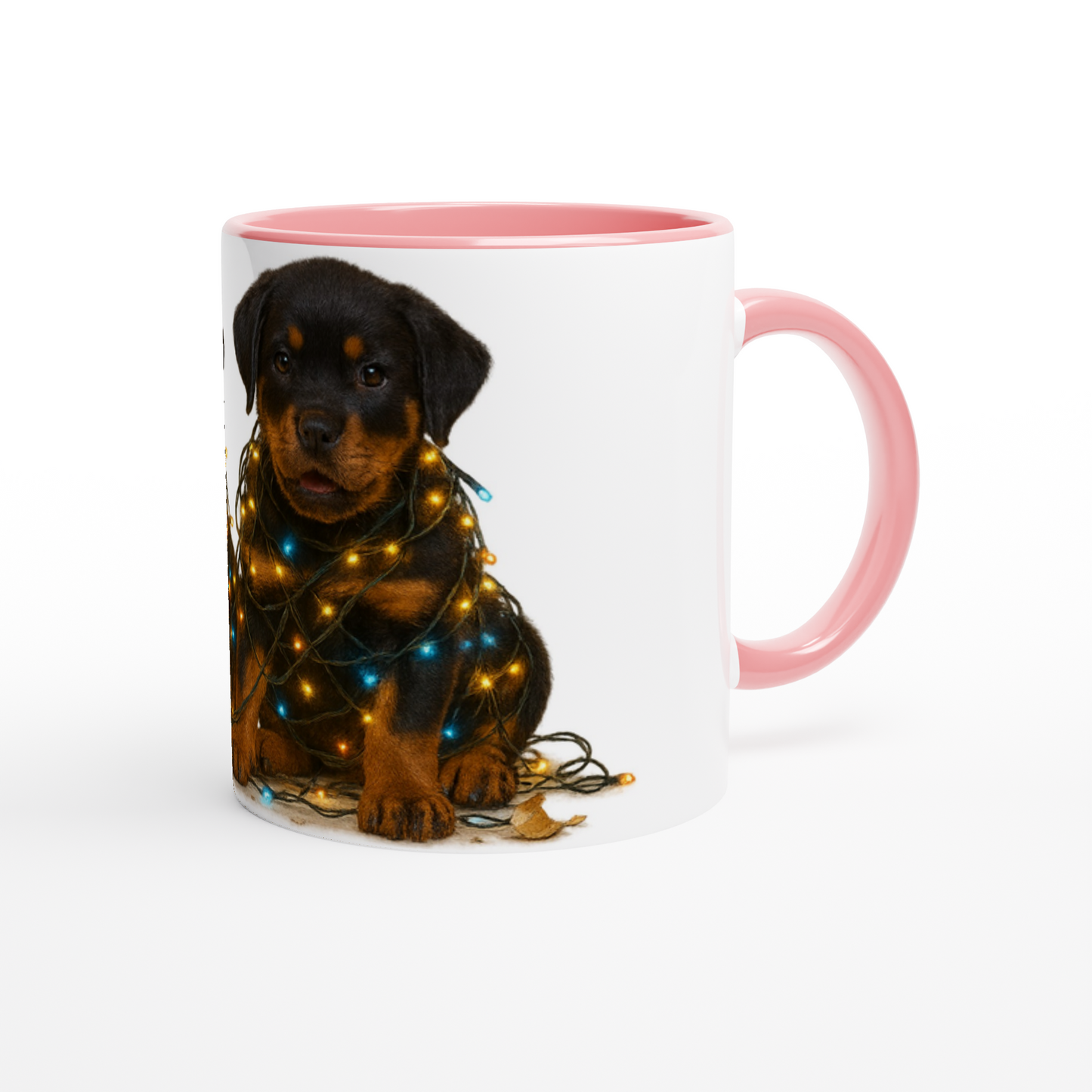 fd541c6f-6952-48a2-8113-e1c4216c9fe5